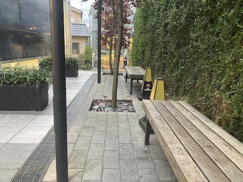 Next to the Omotesando store